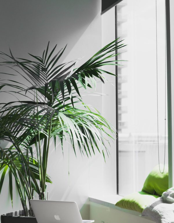 alesia-kazantceva-E8dAbseeFLo-unsplash