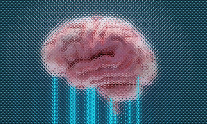 shubham-dhage-2sz-3NrmZYU-unsplash